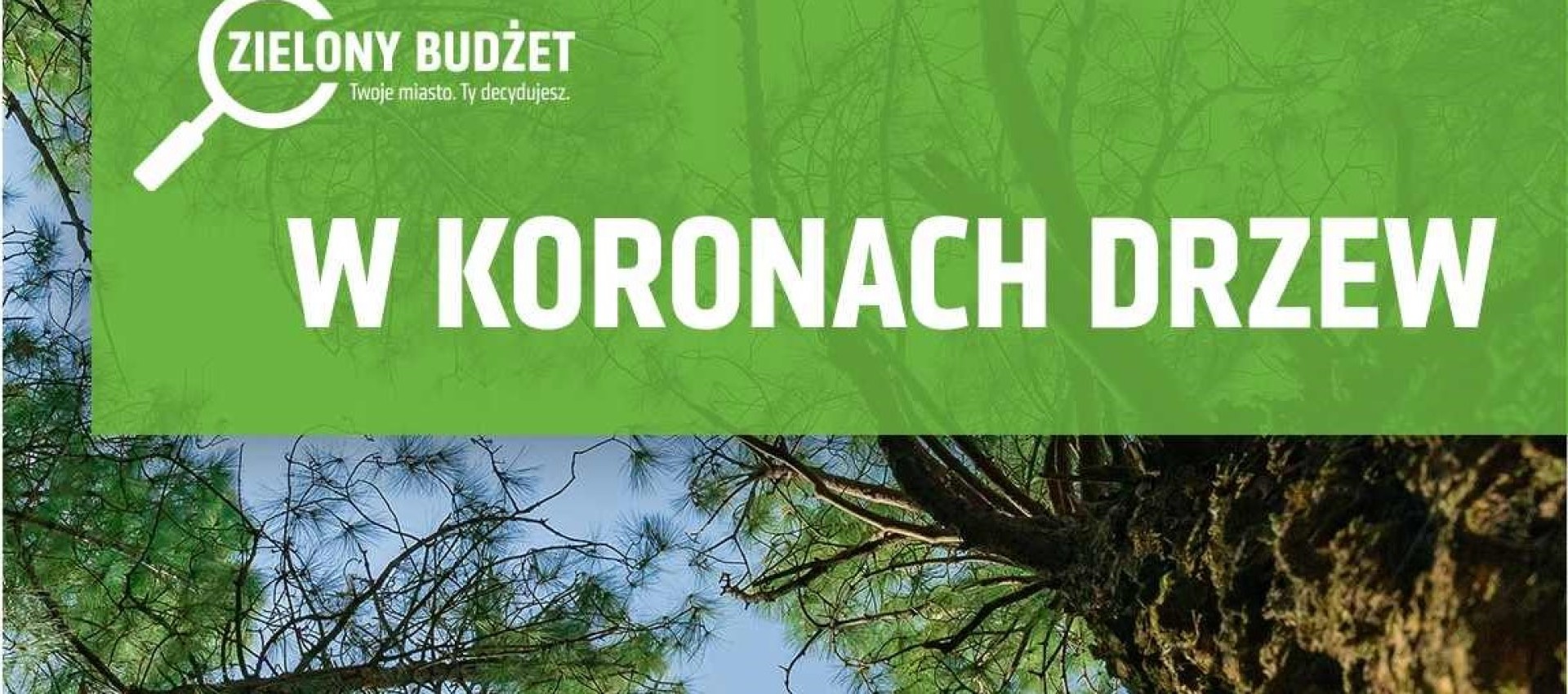 Ruszyła VIII edycja Zielonego Budżetu – Lublin stawia na drzewa!