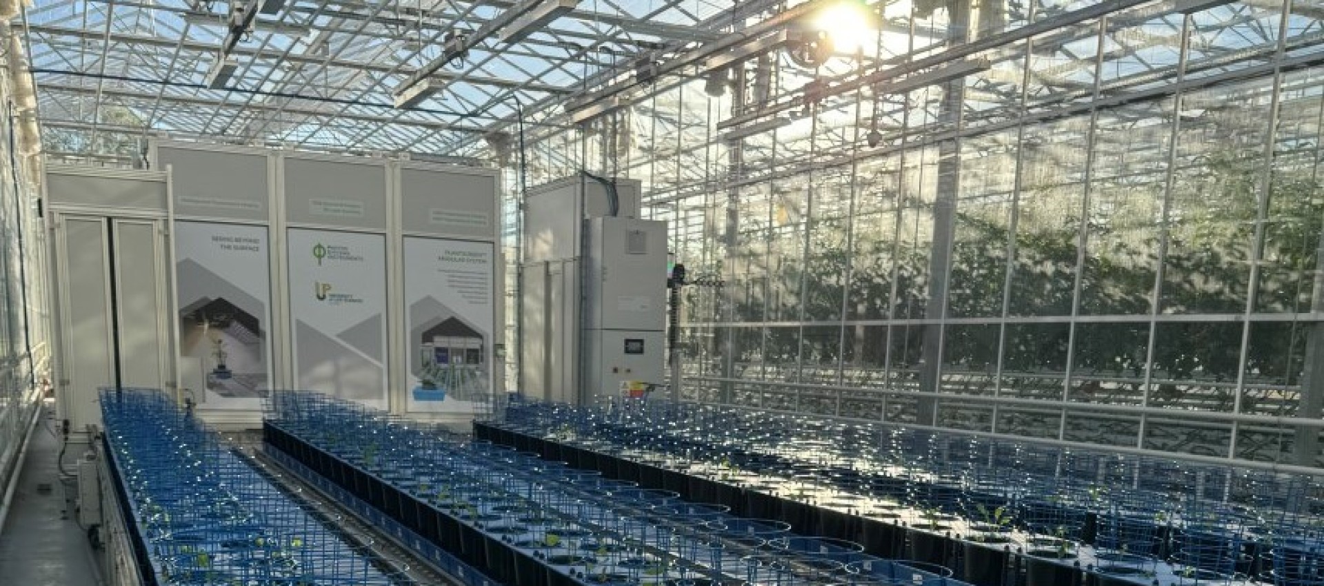 🌿 Centrum Fenomiki Roślin w Lublinie. Nowa infrastruktura naukowa na Uniwersytecie Przyrodniczym