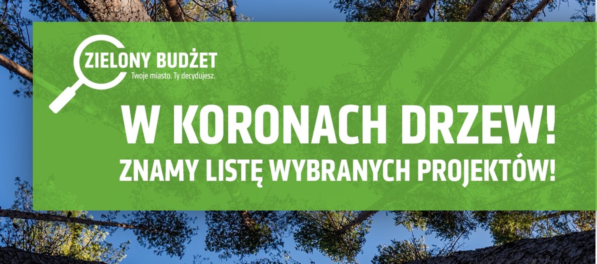 30 zielonych projektów do realizacji w Lublinie. Mieszkańcy wskazali miejsca i potrzeby