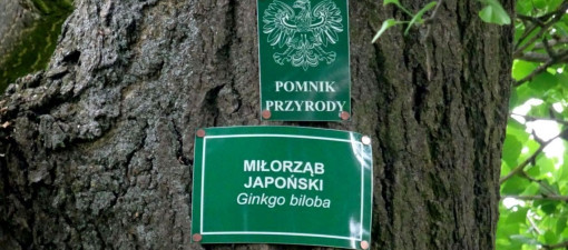 Lublin z unijnym wsparciem zadba o miejską przyrodę. Rusza projekt „Zielony Lublin”