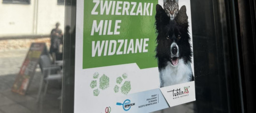 Lublin kontynuuje akcję „Miejsce przyjazne zwierzętom” – trwa nabór nowych uczestników
