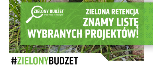 Lublin wybrał projekty Zielonego Budżetu 2026. W planach ogrody deszczowe i nowe nasadzenia