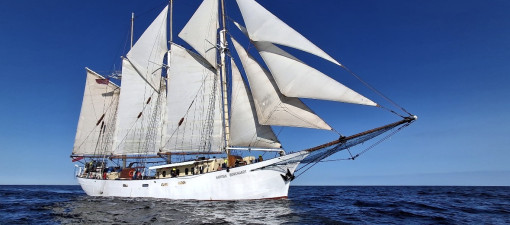 Majówka na żaglach. Studenci z Lublina płyną Kapitanem Borchardtem z Alicante do Malagi