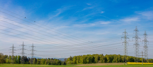 Bioolej zamiast toksycznych substancji. Na Politechnice Lubelskiej testują technologię dla transformatorów