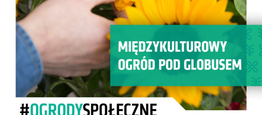 Międzykulturowy Ogród pod Globusem otwiera się na mieszkańców Lublina