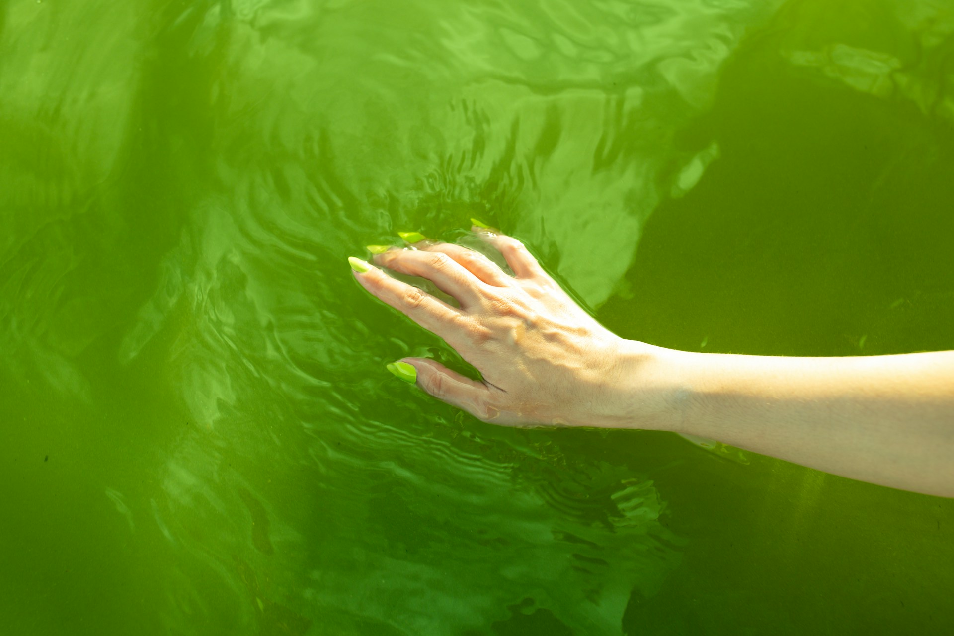 elena helade 4C8KzIzwrD8 unsplash