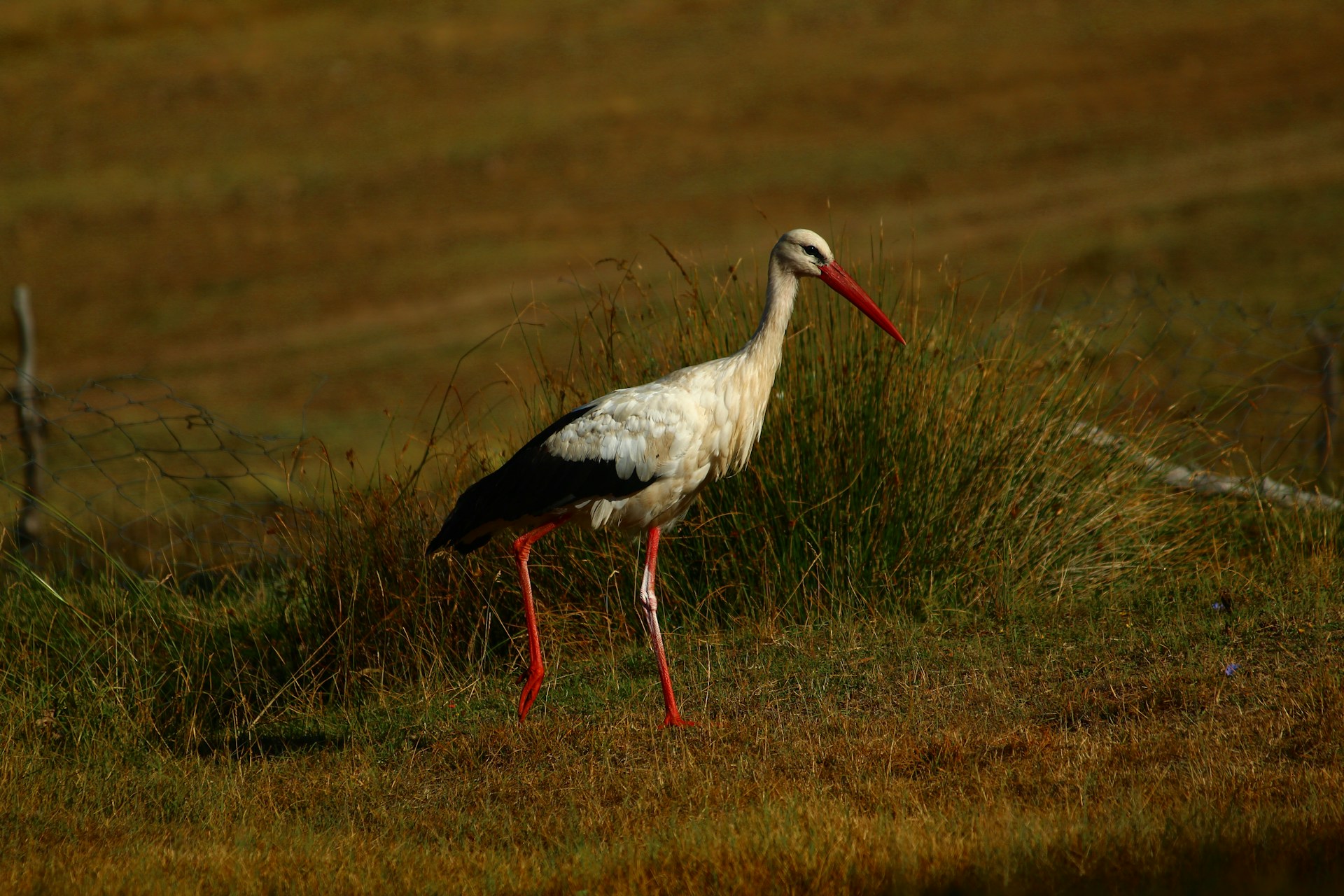 seval torun 7om0vvhBDSc unsplash 1