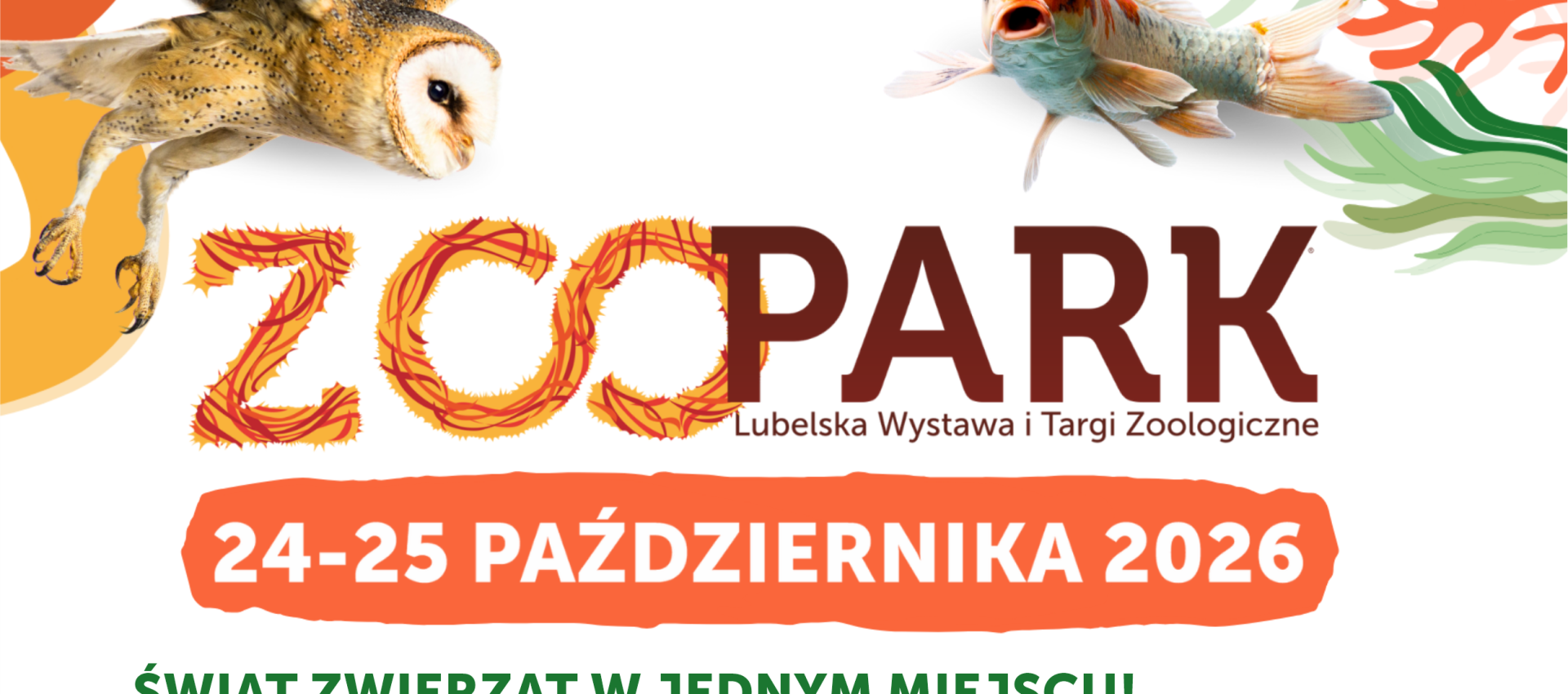 Lemury, wielbłądy i motyle latające wśród zwiedzających. ZOOPARK wraca do Lublina