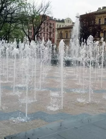 W Lublinie pojawią się rzeźby koziołków.