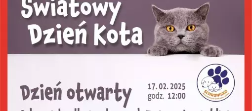 Dziś dzień otwarty w Schronisku dla Zwierząt w Lublinie – atrakcje i spotkania z ekspertami