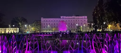 Lublin podświetli Plac Litewski na fioletowo w geście solidarności z chorymi na padaczkę