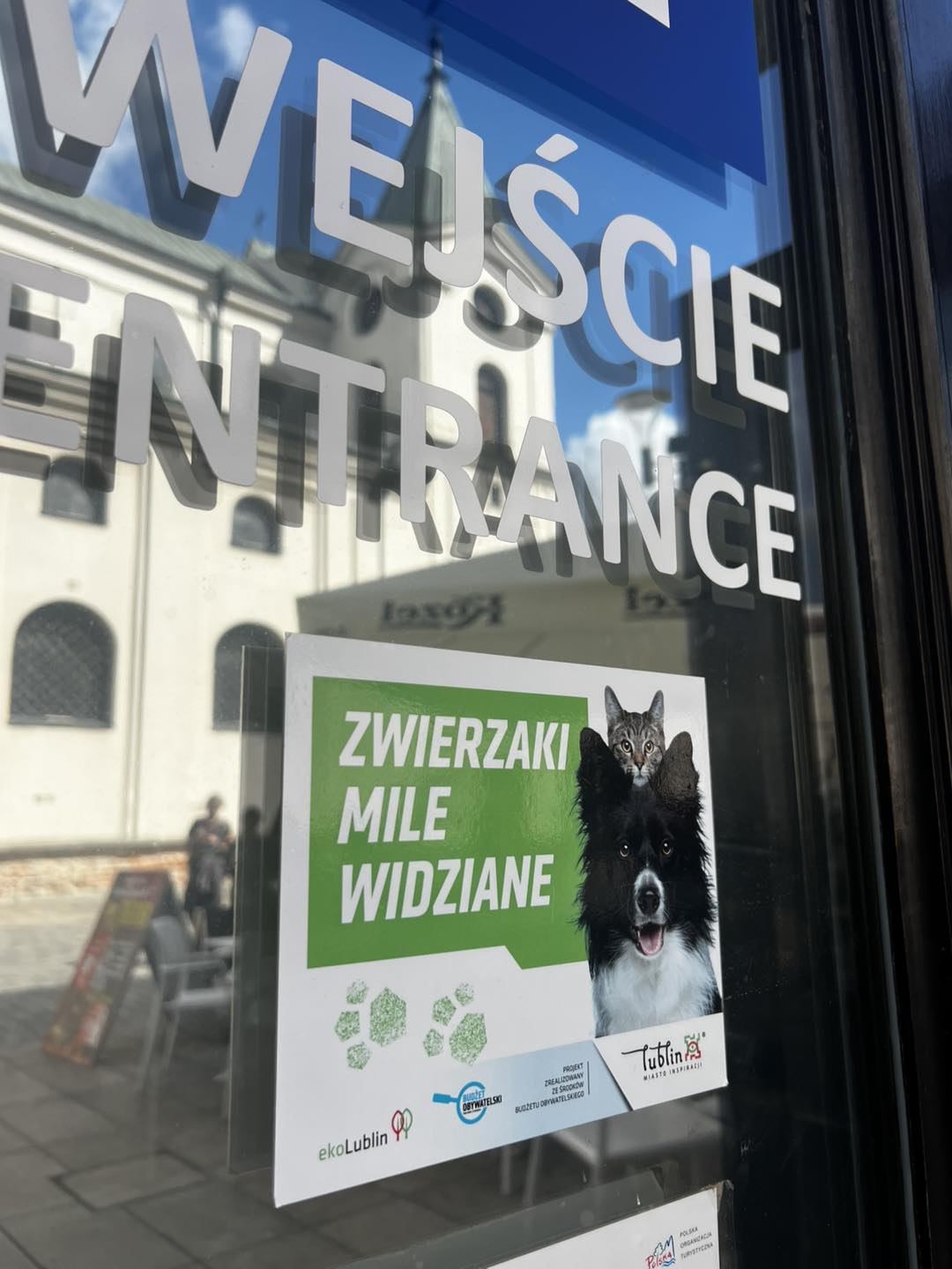 zwierzaki2